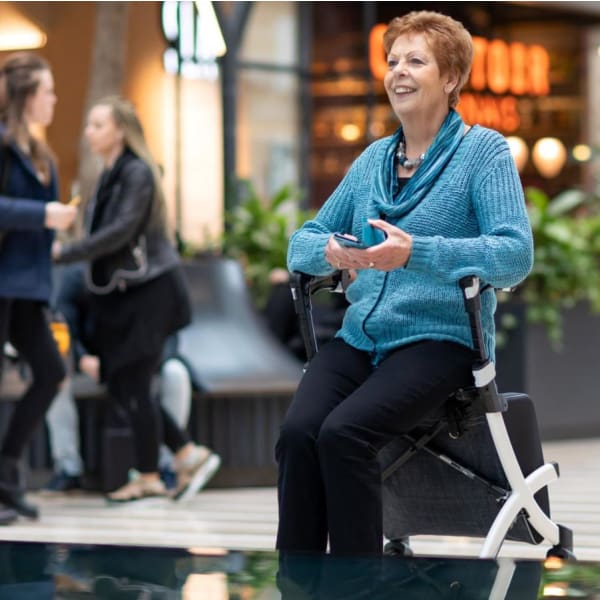 rollz flex 2 seated
